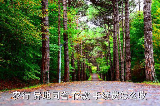 異地存款手續(xù)費怎么收,中國工商銀行調(diào)整異地取款手續(xù)費標準