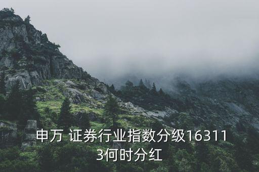  申萬 證券行業(yè)指數(shù)分級(jí)163113何時(shí)分紅
