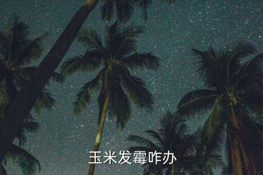 玉米有點霉怎么辦,因受潮變質(zhì)玉米會發(fā)酵產(chǎn)生霉菌