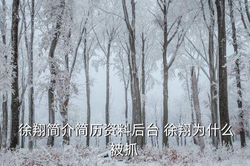 徐翔是怎么回事,徐翔、王偉、犯受賄罪被判入獄五年半