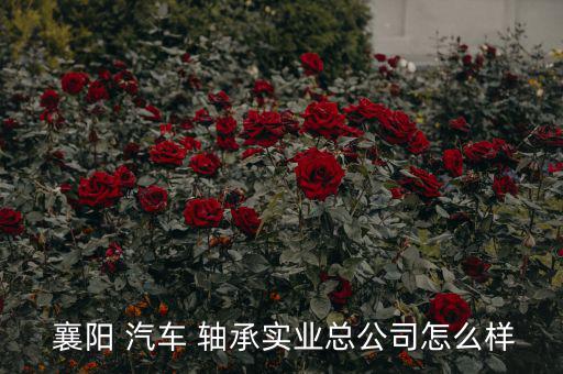  襄陽 汽車 軸承實(shí)業(yè)總公司怎么樣