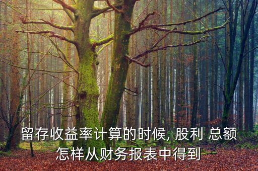 留存收益率計算的時候, 股利 總額怎樣從財務報表中得到