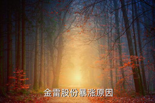 金雷風(fēng)電怎么樣,投資者互動(dòng)平臺:風(fēng)電裝機(jī)量受多因素影響