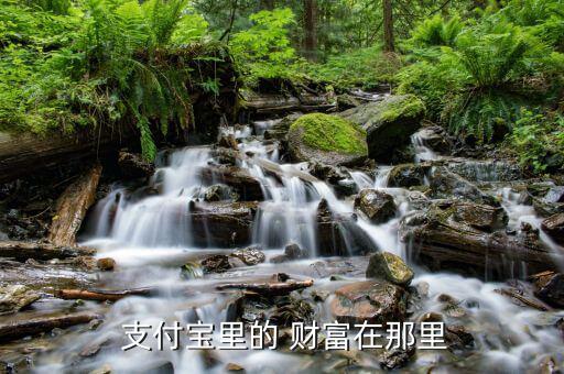我的支付寶怎么沒有財富,手機(jī)支付寶如何解封?