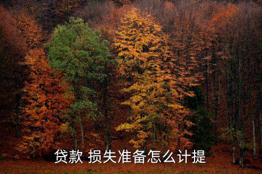 貸款 損失準(zhǔn)備怎么計提