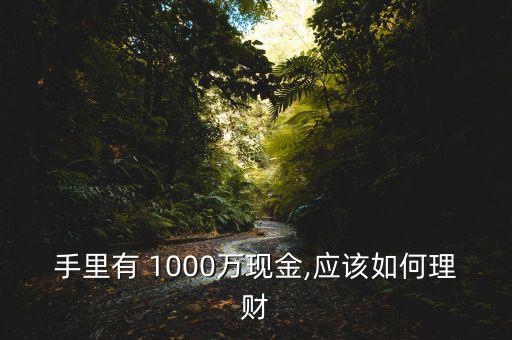 手里有 1000萬現(xiàn)金,應(yīng)該如何理財