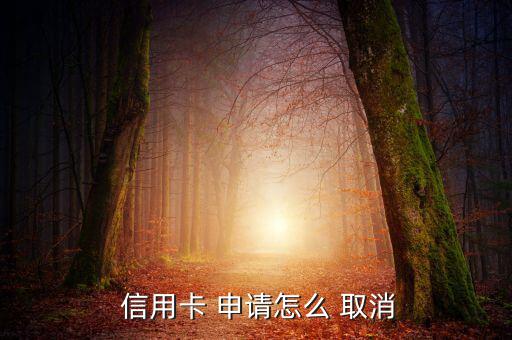  信用卡 申請?jiān)趺?取消