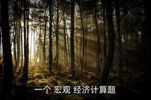 一個 宏觀 經濟計算題
