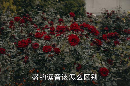 嘉盛中心的盛怎么讀,盛會(huì)、豐盛、茂盛、盛大等五個(gè)漢字