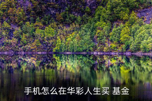  手機(jī)怎么在華彩人生買(mǎi) 基金