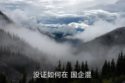 沒(méi)證如何在 國(guó)企混