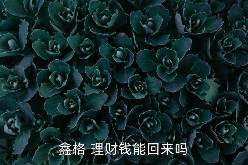 格子理財(cái)怎么樣,你投的錢(qián)回不來(lái)了