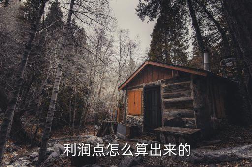 聯(lián)營扣點(diǎn)供貨商怎么算利潤(rùn),利潤(rùn)分為兩種類型