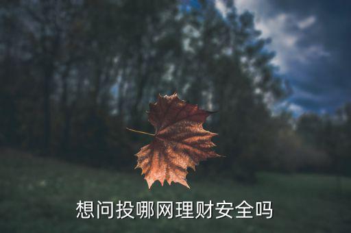 中銀粵財怎么樣,莉莉數碼集團的六大重點