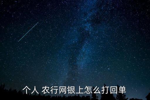 個人 農行網(wǎng)銀上怎么打回單