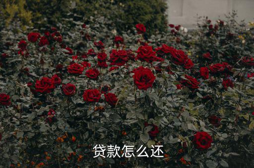 貸款怎么還合適,中國銀行推出等額本息、月均本金等還款方式