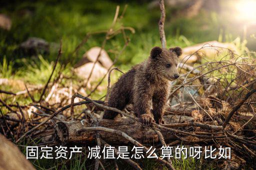 減值率怎么算,若賬面價值小于可收回金額需提資產減值撥備
