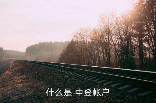 中登公司沒(méi)有賬戶怎么辦,如何查詢(xún)自己開(kāi)立的證券賬戶呢!