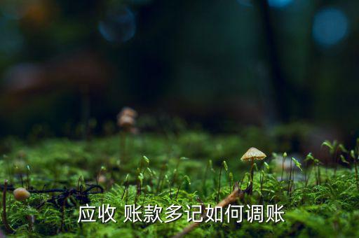  應收 賬款多記如何調(diào)賬