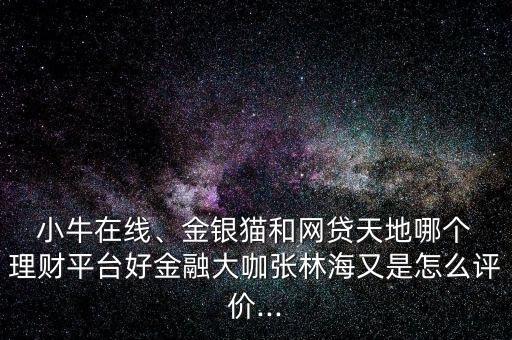  小牛在線、金銀貓和網(wǎng)貸天地哪個(gè) 理財(cái)平臺(tái)好金融大咖張林海又是怎么評(píng)價(jià)...