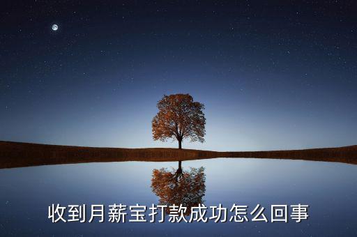搜易貸怎么用,如何使用百度錢花理財