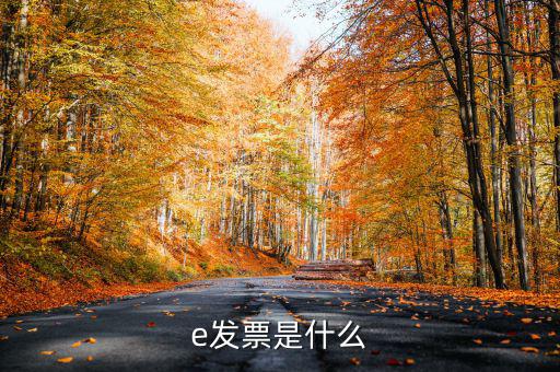 e票寶怎么使用,電子發(fā)票開票頁(yè)面出現(xiàn)兩種取票方式
