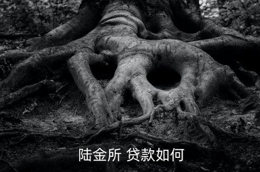 怎么樣在陸金所上貸款,網貸業(yè)務