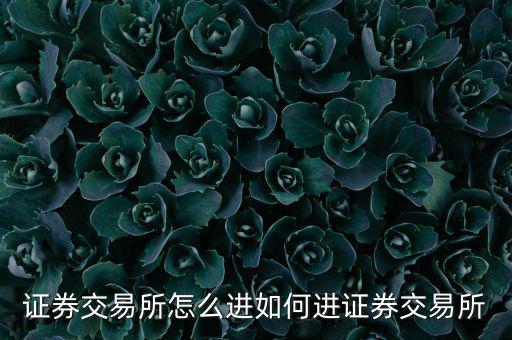 證券交易所怎么進如何進證券交易所