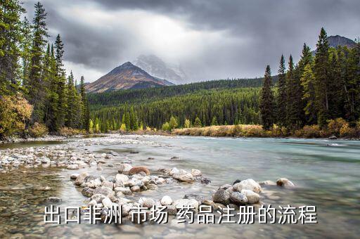 藥品怎么打開國外市場,中國醫(yī)藥股份有限公司的股價(jià)