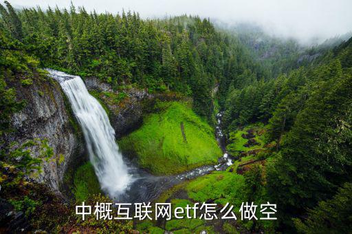 中概互聯(lián)網etf怎么做空