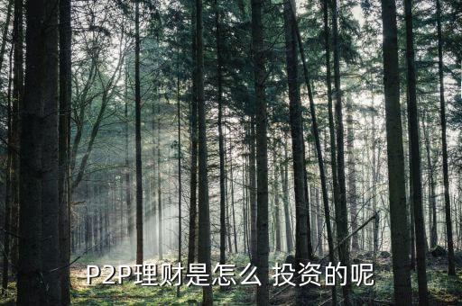 p2p怎么投資收益,理財有風(fēng)險投資需謹慎
