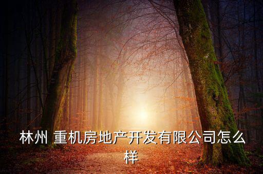 林州重機(jī)怎么樣,林州重機(jī)房地產(chǎn)開發(fā)有限公司法人郭浩正在營(yíng)業(yè)