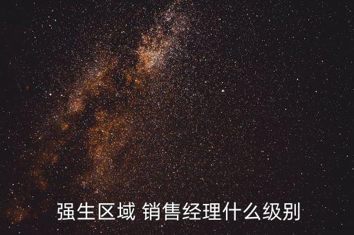  強(qiáng)生區(qū)域 銷(xiāo)售經(jīng)理什么級(jí)別