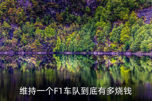 維持一個(gè)F1車隊(duì)到底有多燒錢(qián)