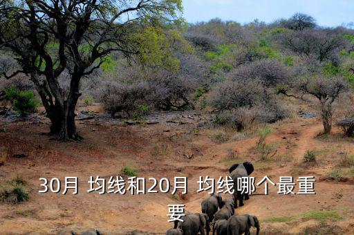 30月均線(xiàn)怎么設(shè),均線(xiàn)系統(tǒng)的形成及運(yùn)用