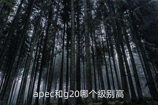 國(guó)際貿(mào)易額由什么組成，國(guó)際貿(mào)易額和對(duì)外貿(mào)易額兩者的區(qū)別