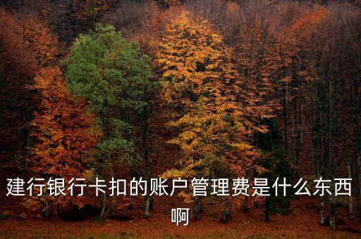 建設(shè)銀行的賬戶(hù)管理費(fèi)是什么，建行銀行卡扣的賬戶(hù)管理費(fèi)是什么東西啊