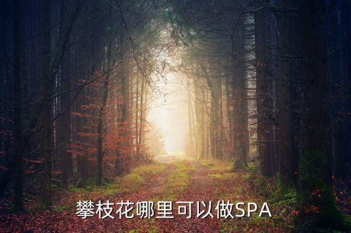 雅化集團(tuán)攀枝花恒泰做什么的，攀枝花哪里可以做SPA