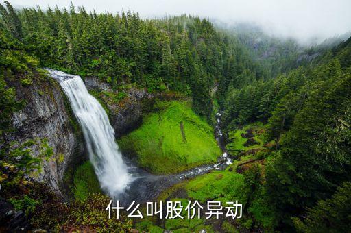 什么叫股票異動(dòng)，異動(dòng)股是什么意思