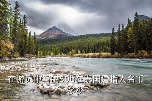 國(guó)金50b是什么，國(guó)金證券券商代碼是什么