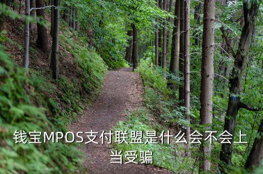 恒寶mpos是什么，錢寶MPOS支付聯(lián)盟是什么會不會上當受騙