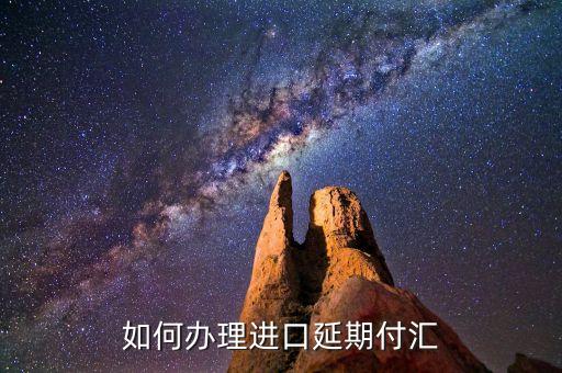 什么是進(jìn)口付匯，什么是跨境貿(mào)易人民幣結(jié)算啊