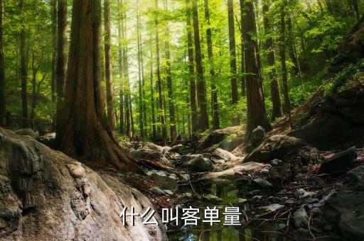 客戶規(guī)模包括什么，用戶規(guī)模什么意思與用戶數量有什么區(qū)別