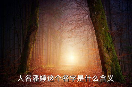 潘婷了頹勢什么意思，潘婷P20210720什么意思