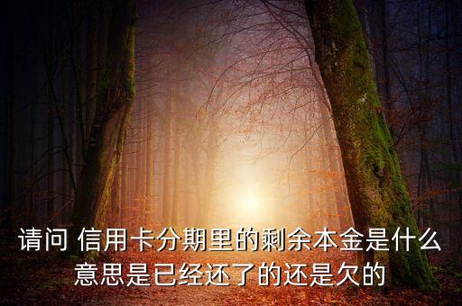 分期付息的本金是什么，請(qǐng)問 信用卡分期里的剩余本金是什么意思是已經(jīng)還了的還是欠的