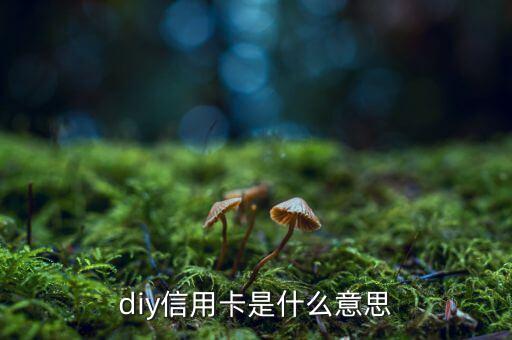 diy信用卡是什么意思，D1y信用卡是什么意思