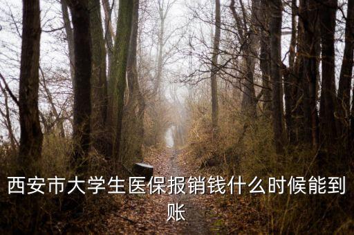 大學(xué)生醫(yī)保什么時(shí)候到賬，大學(xué)生武漢醫(yī)保報(bào)銷(xiāo)費(fèi)什么時(shí)候到帳啊