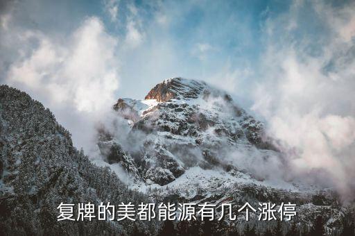 美都能源為什么停牌了，美都能源臨時(shí)停牌利好還是壞