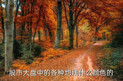 均線是什么顏色，股票的均線是哪一條什么顏色