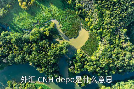 外匯de30是什么，新手一枚想知道TigerWit老虎外匯中的us30是什么意思